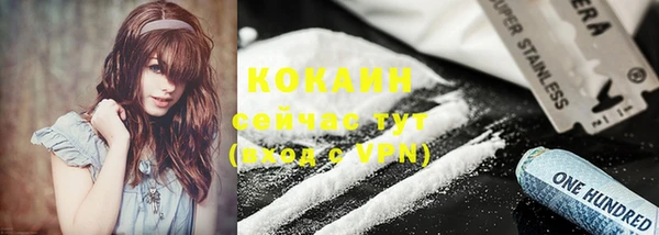 кокс Гусев