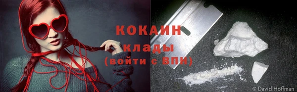 кокс Гусев