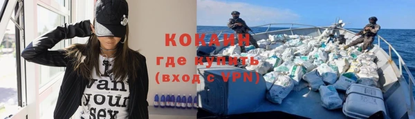 кокс Гусев