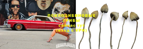 кокс Гусев