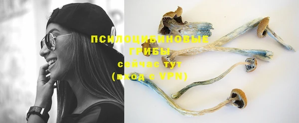 jwh Гусь-Хрустальный