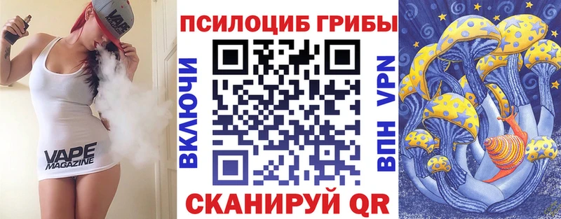 Купить закладки  Нововоронеж  Псилоцибиновые грибы Psilocybine cubensis 