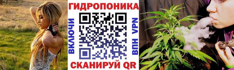 Купить Нововоронеж МАРИХУАНА план